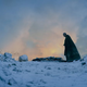 Image for article titled Don’t miss a thing: Catch up with our Game Of Thrones season 6 reviews